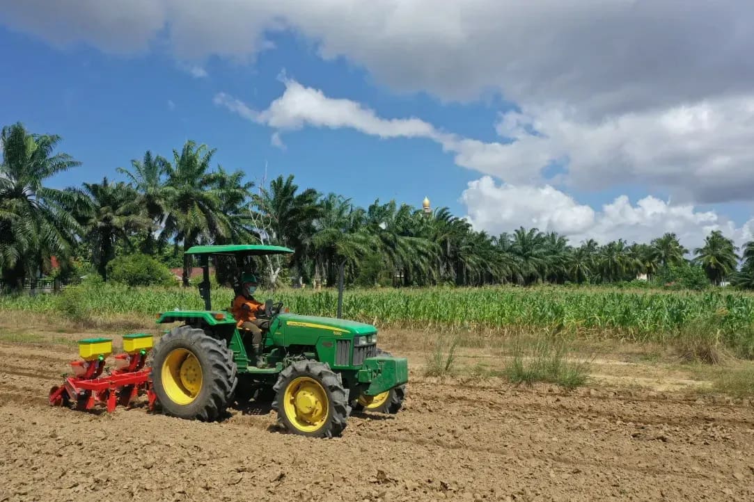 Campos de Levante 2